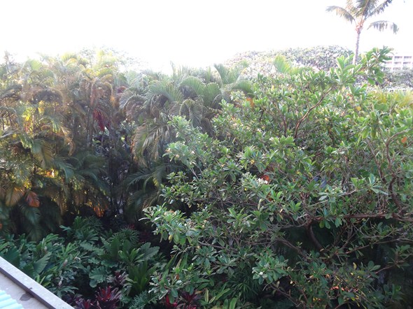 Rock-Subculture-Hotel-Resort-Review-Four-Seasons-Maui-Wailea-195