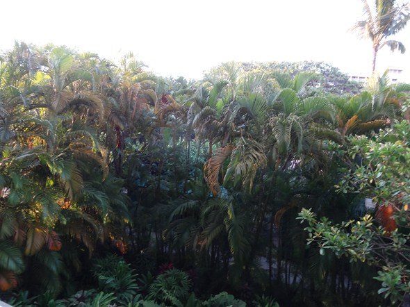 Rock-Subculture-Hotel-Resort-Review-Four-Seasons-Maui-Wailea-195