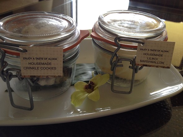 Rock-Subculture-Hotel-Resort-Review-Four-Seasons-Maui-Wailea-195
