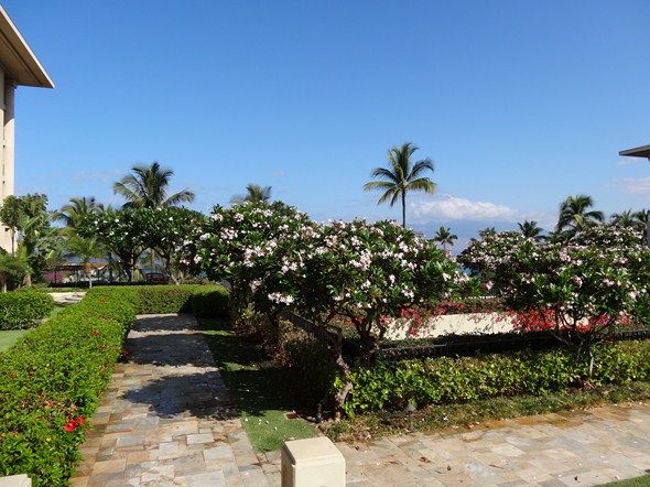 Rock-Subculture-Hotel-Resort-Review-Four-Seasons-Maui-Wailea-195
