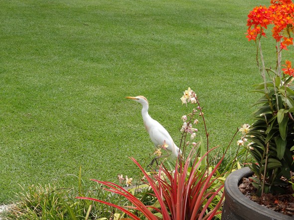 Rock-Subculture-Hotel-Resort-Review-Four-Seasons-Maui-Wailea-195
