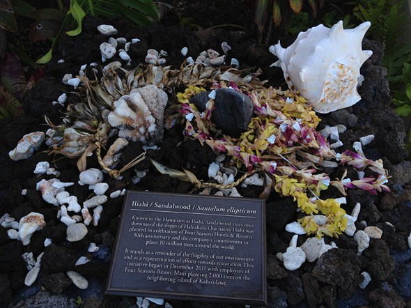 Rock-Subculture-Hotel-Resort-Review-Four-Seasons-Maui-Wailea-195