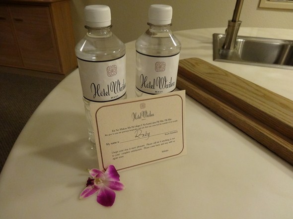 Rock-Subculture-Resort-Trip-Travel-Review-Hotel-Wailea-001