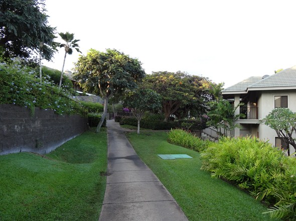 Rock-Subculture-Resort-Trip-Travel-Review-Hotel-Wailea-001