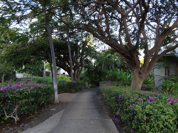 Rock-Subculture-Resort-Trip-Travel-Review-Hotel-Wailea-001