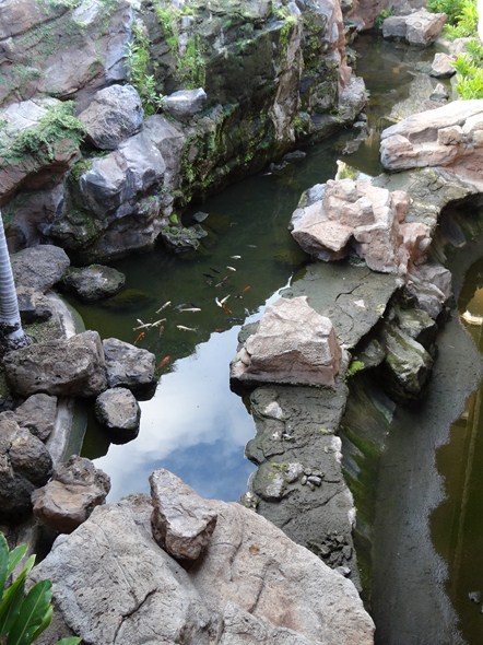 Rock-Subculture-Resort-Trip-Travel-Review-Hotel-Wailea-001