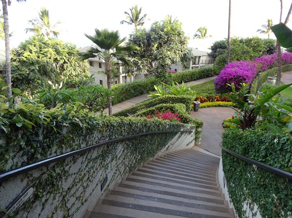 Rock-Subculture-Resort-Trip-Travel-Review-Hotel-Wailea-001