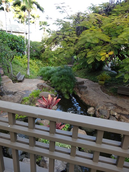 Rock-Subculture-Resort-Trip-Travel-Review-Hotel-Wailea-001