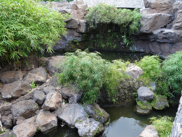 Rock-Subculture-Resort-Trip-Travel-Review-Hotel-Wailea-001