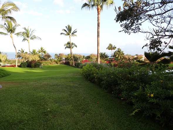 Rock-Subculture-Resort-Trip-Travel-Review-Hotel-Wailea-001
