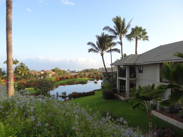 Rock-Subculture-Resort-Trip-Travel-Review-Hotel-Wailea-001