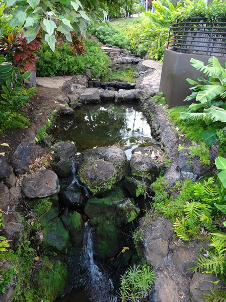 Rock-Subculture-Resort-Trip-Travel-Review-Hotel-Wailea-001