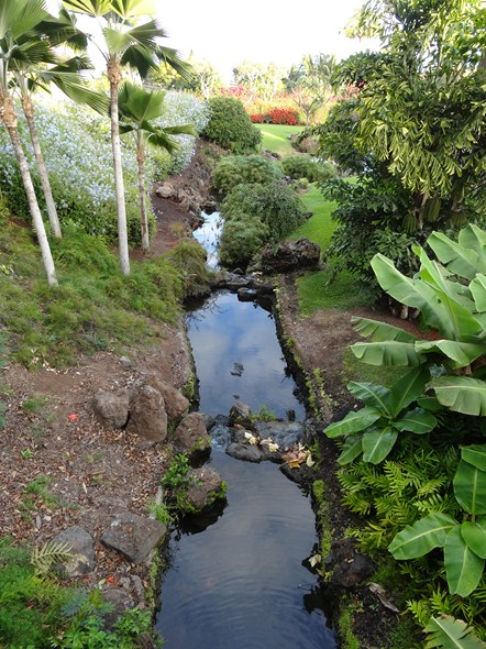 Rock-Subculture-Resort-Trip-Travel-Review-Hotel-Wailea-001