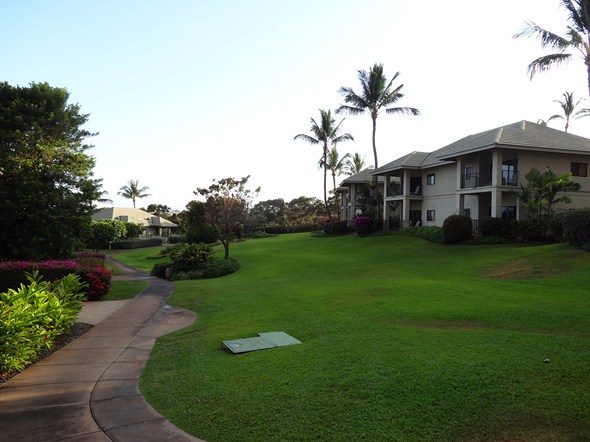 Rock-Subculture-Resort-Trip-Travel-Review-Hotel-Wailea-001