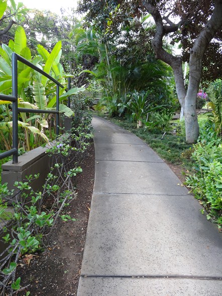 Rock-Subculture-Resort-Trip-Travel-Review-Hotel-Wailea-001