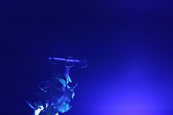 Grouplove-Live-Music-Concert-Review-2012-Las-Vegas-Cosmopolitan-Rock-Subculture-01-RSJ