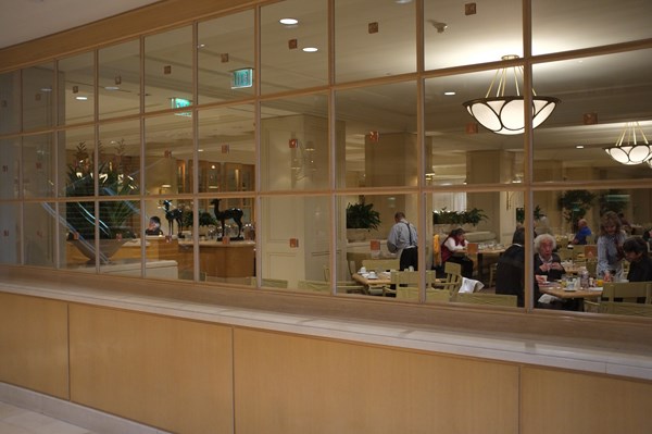 Hilton-LAX-Los-Angeles-Airport-Hotel-Review-Trip-Advisor-Photos-Resort-05