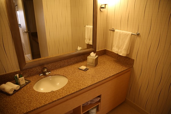 Hilton-LAX-Los-Angeles-Airport-Hotel-Review-Trip-Advisor-Photos-Resort-17