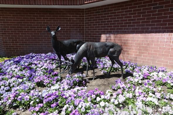 Little-America-Hotel-Salt-Lake-City-Utah-Hotel-Resort-Review-Photos-Opinion-Trip-Advisor-Experience-01-RSJ
