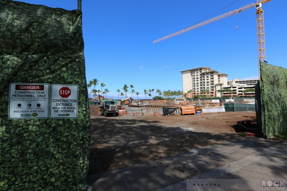 Hotel-Review-Hyatt-Regency-Maui-Resort-Spa-Lahaina-Kaanapali-Maui-Hawaii-Photos-Opinion-Beach-Ocean-View-001-RSJ