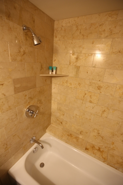 Hyatt-Regency-Houston-Downtown-Texas-Hotel-Review-Travel-Advisor-01-RSJ