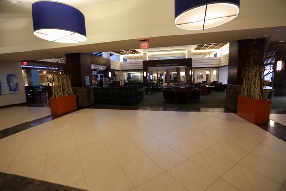 Hyatt-Dulles-at-Dulles-International-Airport-Resort-Hotel-Review-Travel-Journal-Trip-Advisor-Photos-01-RSJ