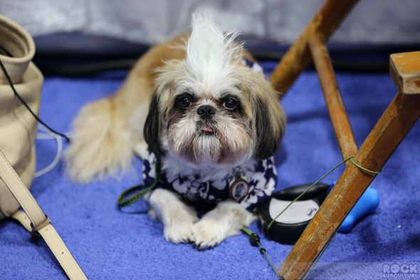 SDCC-San-Diego-Comic-Con-2014-Photos-Photography-Exhibit-Hall-Gaslamp-Costumes-001-RSJ
