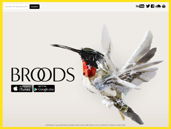 Broods-US-Tour-2015-Concert-Live-Dates-Cities-Information-Tickets-Website-Facebook-Portal