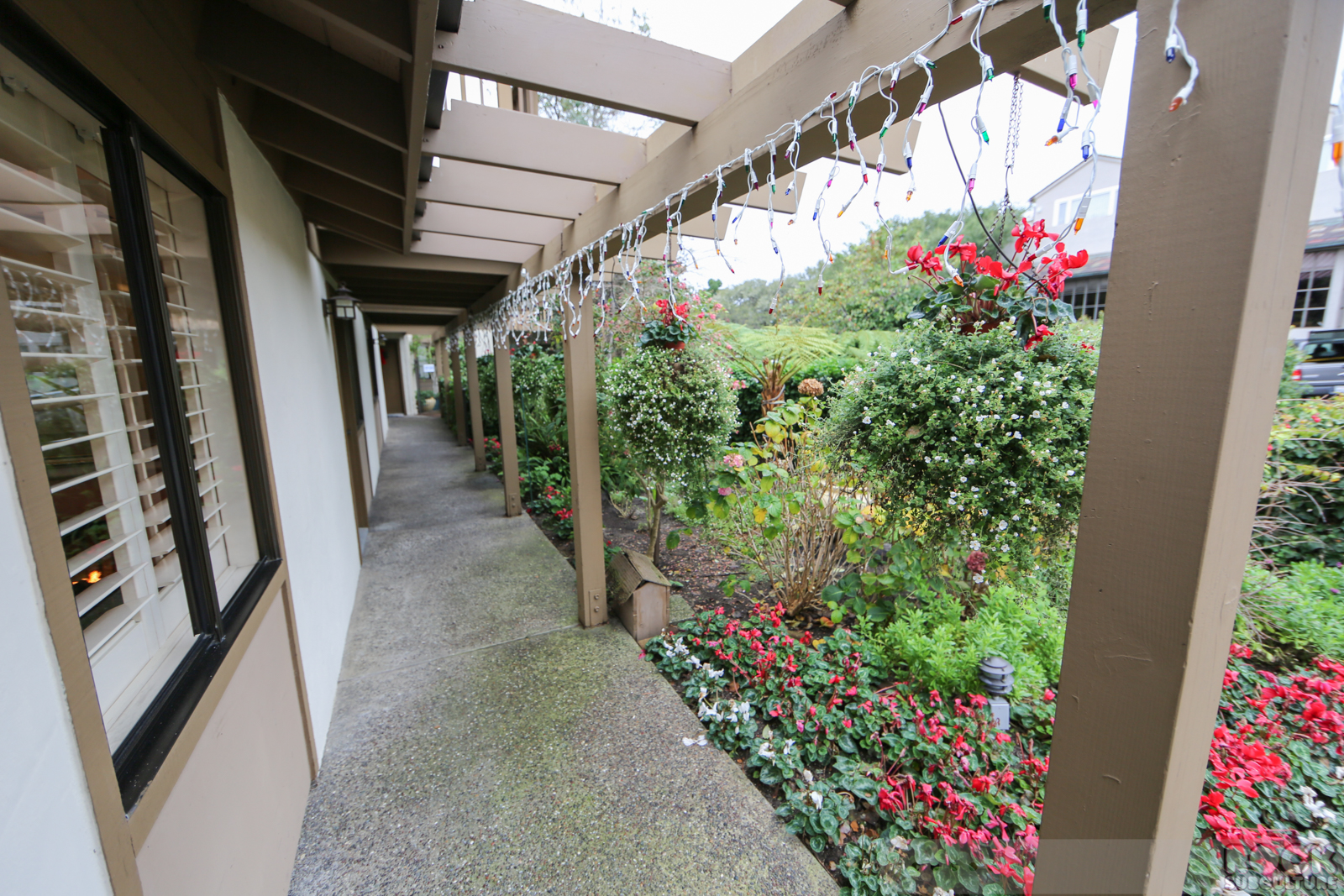 Adobe-Inn-Carmel-by-the-Sea-Hotel-Resort-Review-TripAdvisor-Photos-29