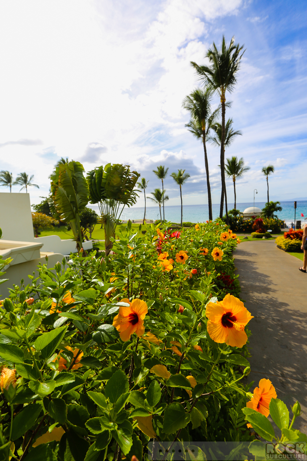 Fairmont-Kea-Lani -Maui-Hawaii-Hotel-Resort-Review-TripAdvisor-Photos-66