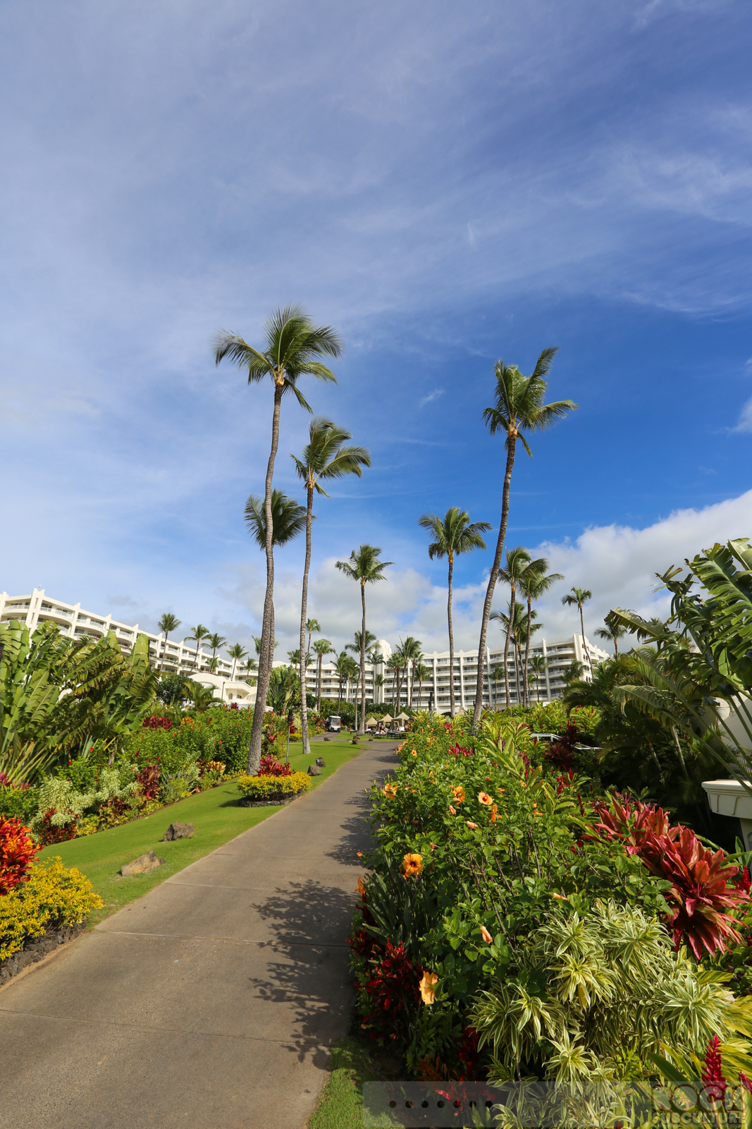 Fairmont-Kea-Lani -Maui-Hawaii-Hotel-Resort-Review-TripAdvisor-Photos-68