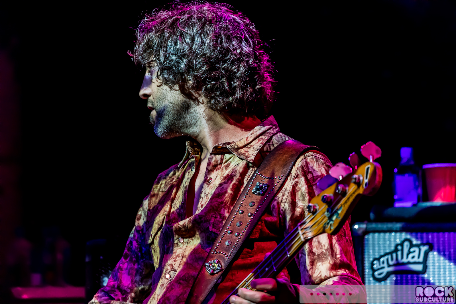 Heart-2015-Tour-Concert-Review-Live-Photos-Mountain-Winery-Saratoga-146