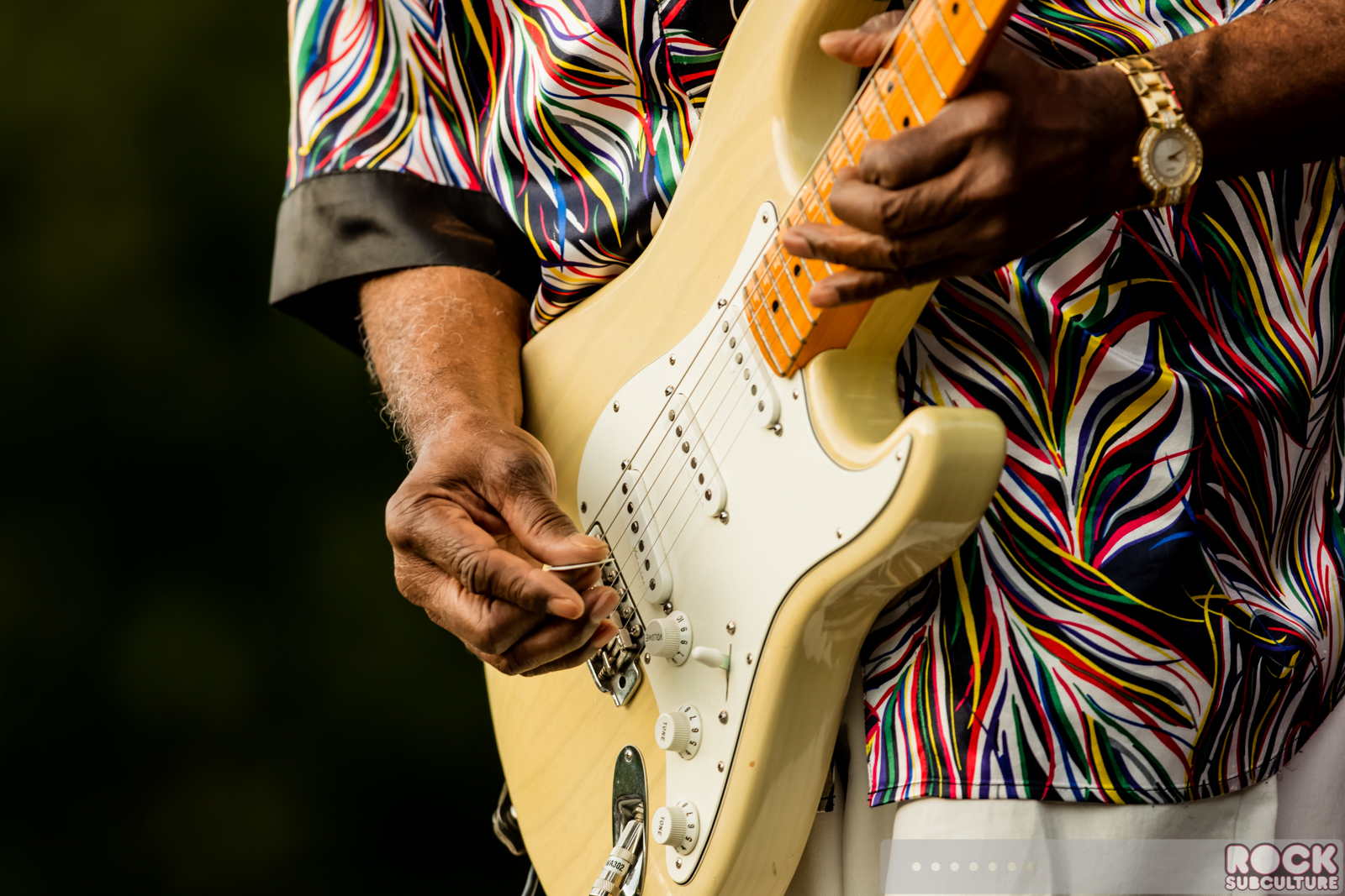 Steve-Miller-Band-Buddy-Guy-2015-Tour-Concert-Review-Photos-Ironstone-Winery-REG-114