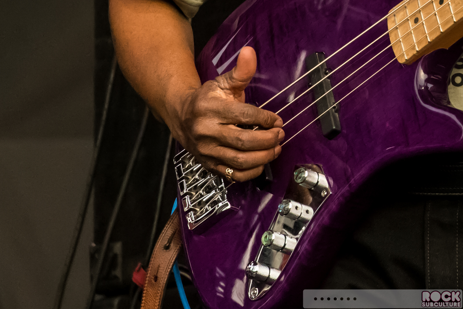 Steve-Miller-Band-Buddy-Guy-2015-Tour-Concert-Review-Photos-Ironstone-Winery-REG-125