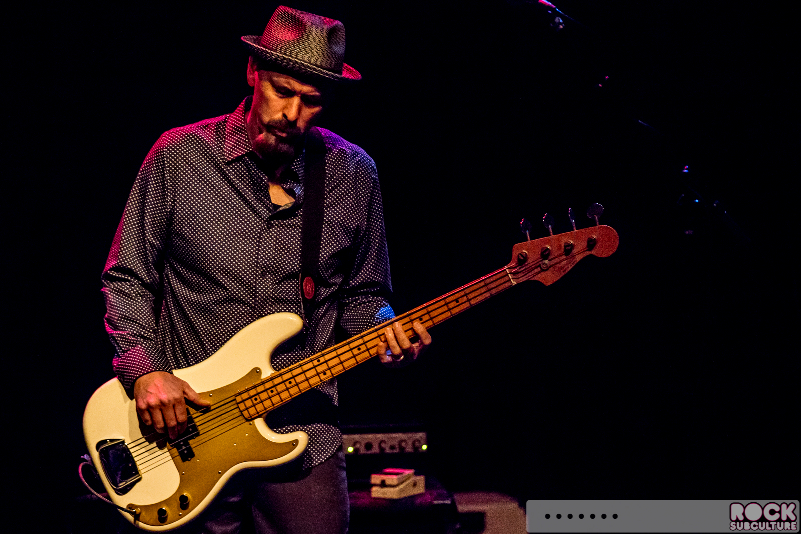 English-Beat-2015-Tour-0144