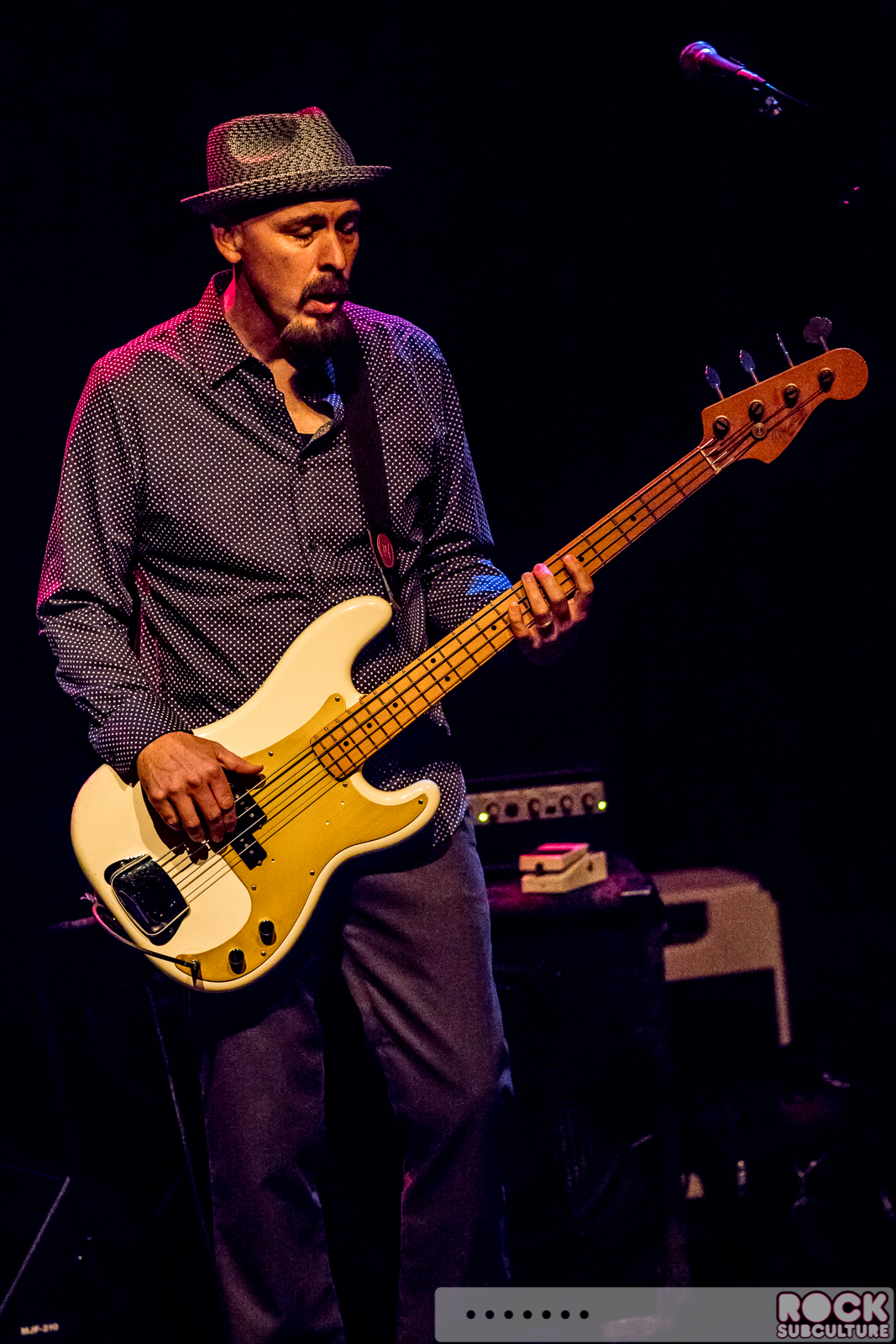 English-Beat-2015-Tour-0148