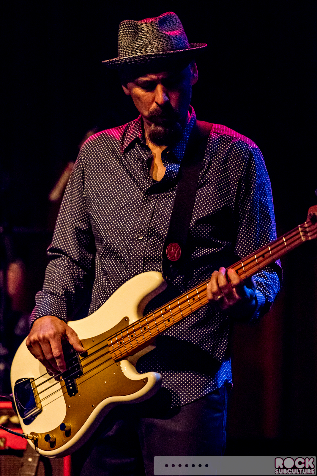 English-Beat-2015-Tour-0197
