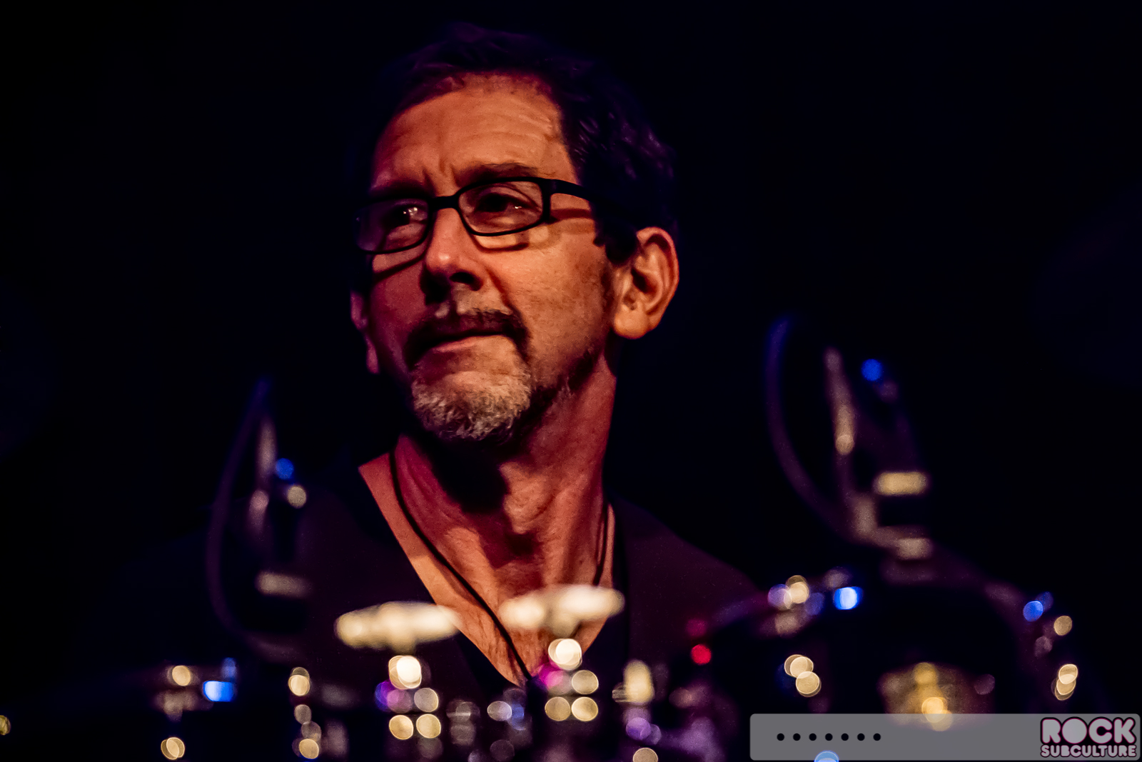 English-Beat-2015-Tour-0254
