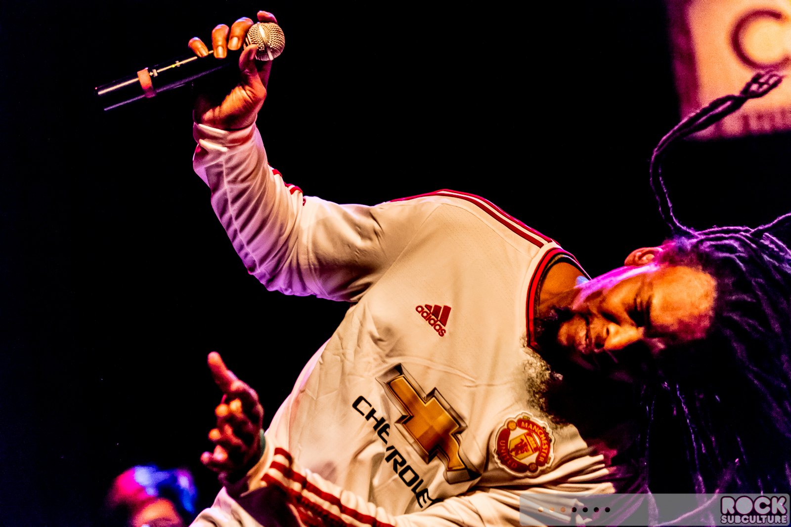 English-Beat-2015-Tour-0321