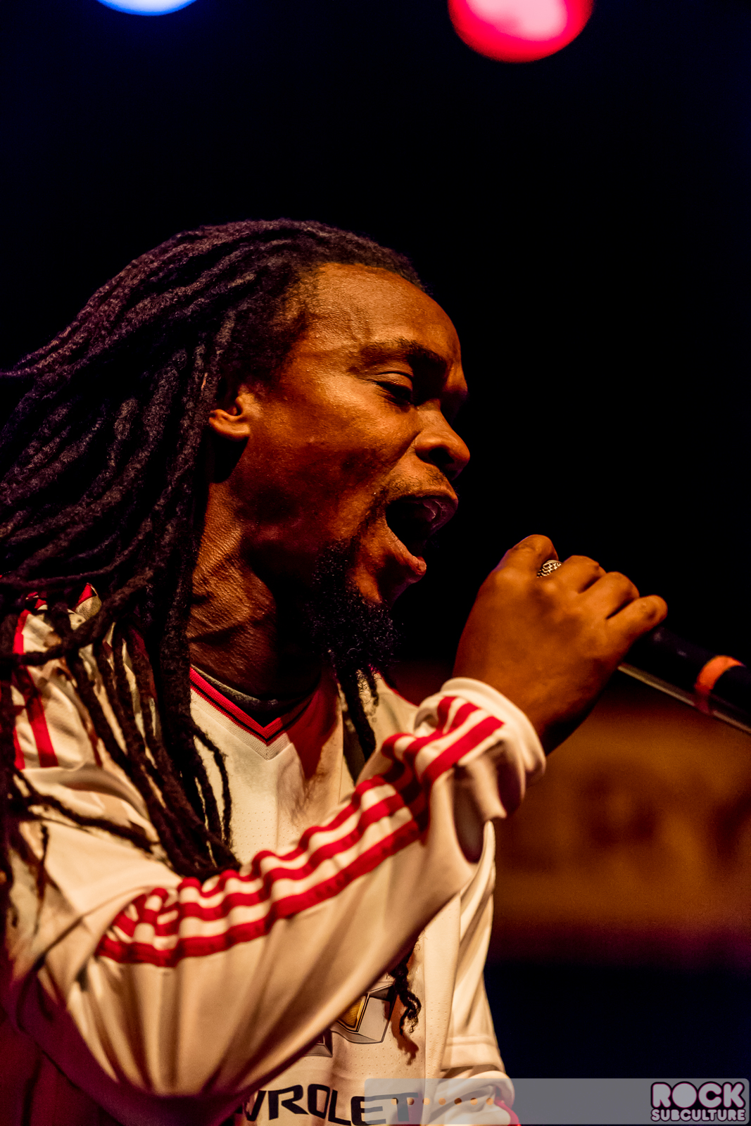 English-Beat-2015-Tour-0421