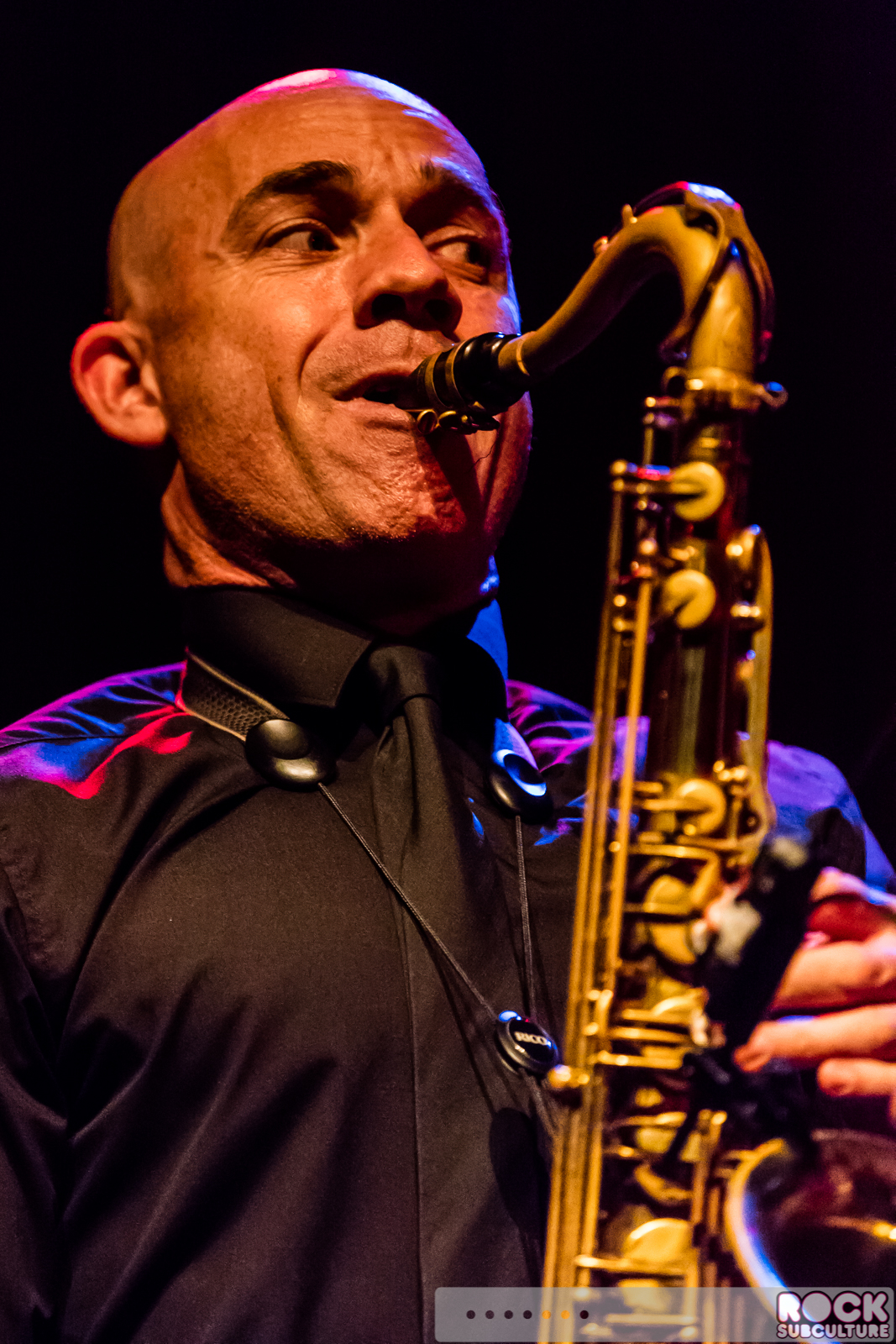 English-Beat-2015-Tour-0470