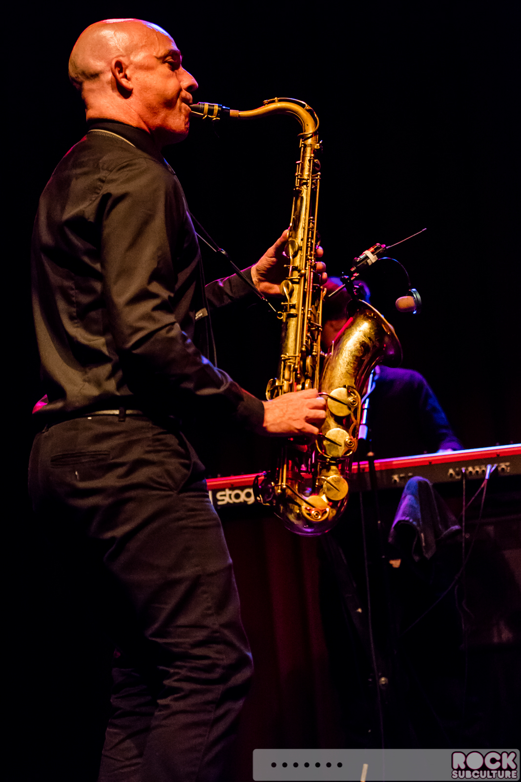 English-Beat-2015-Tour-0479