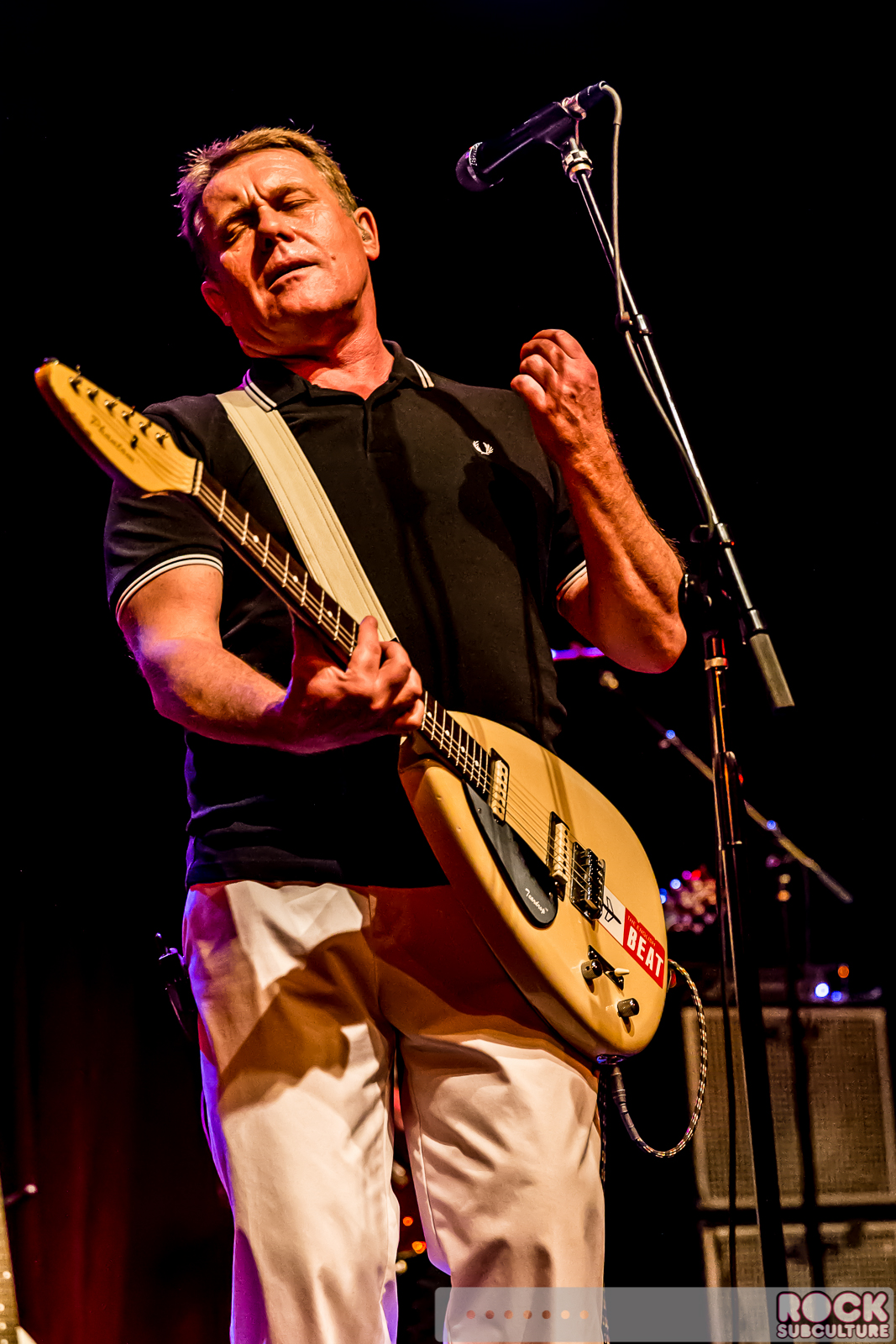 English-Beat-2015-Tour-0514