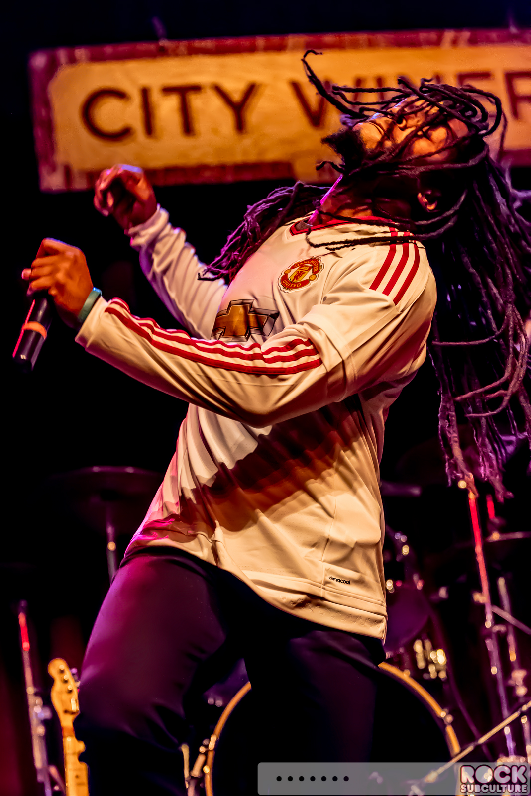 English-Beat-2015-Tour-0594