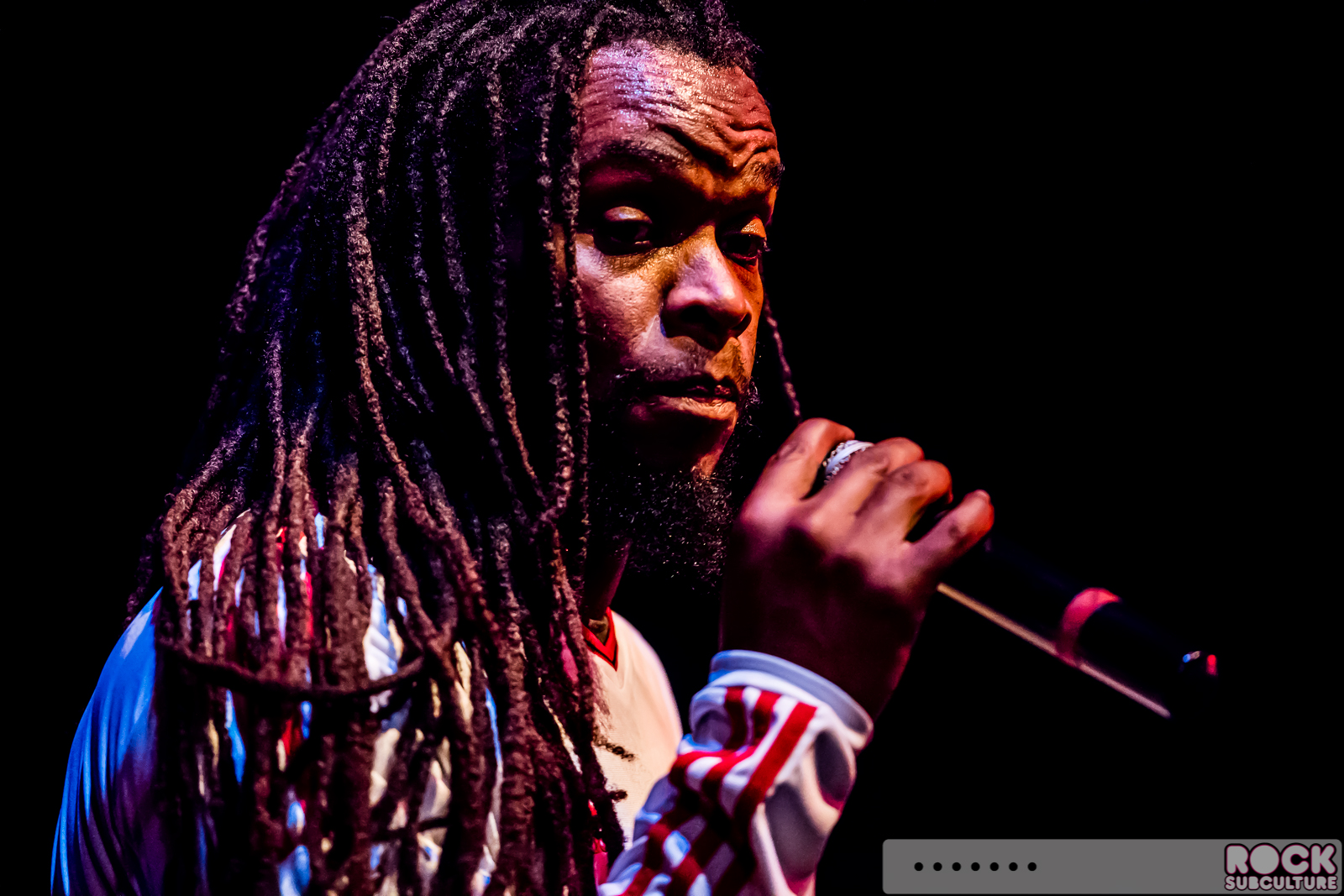 English-Beat-2015-Tour-1123