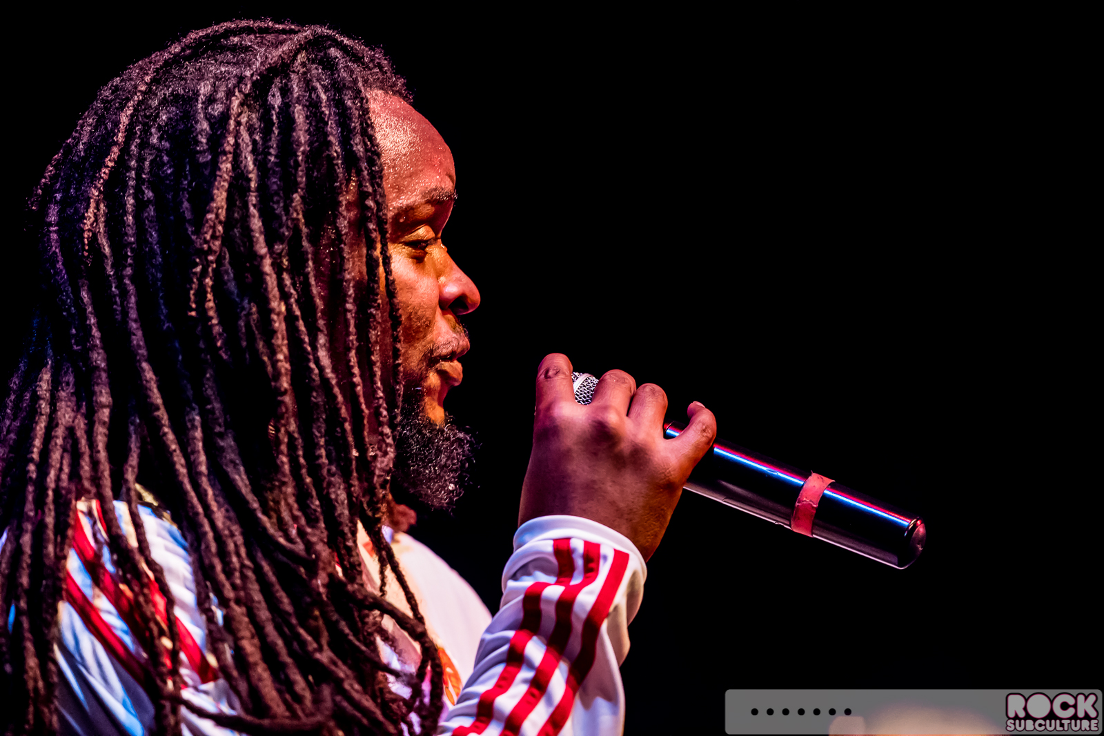 English-Beat-2015-Tour-1140
