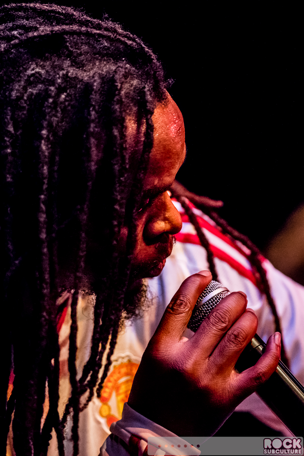 English-Beat-2015-Tour-1144