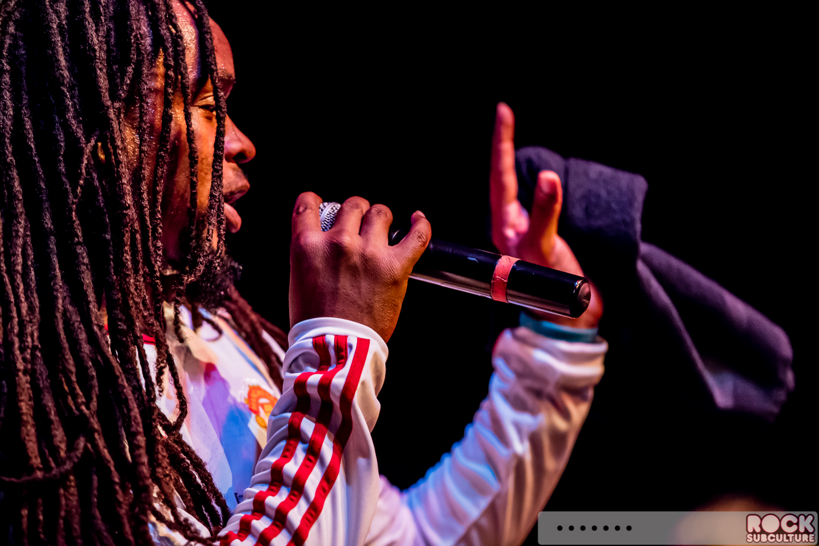 English-Beat-2015-Tour-1149