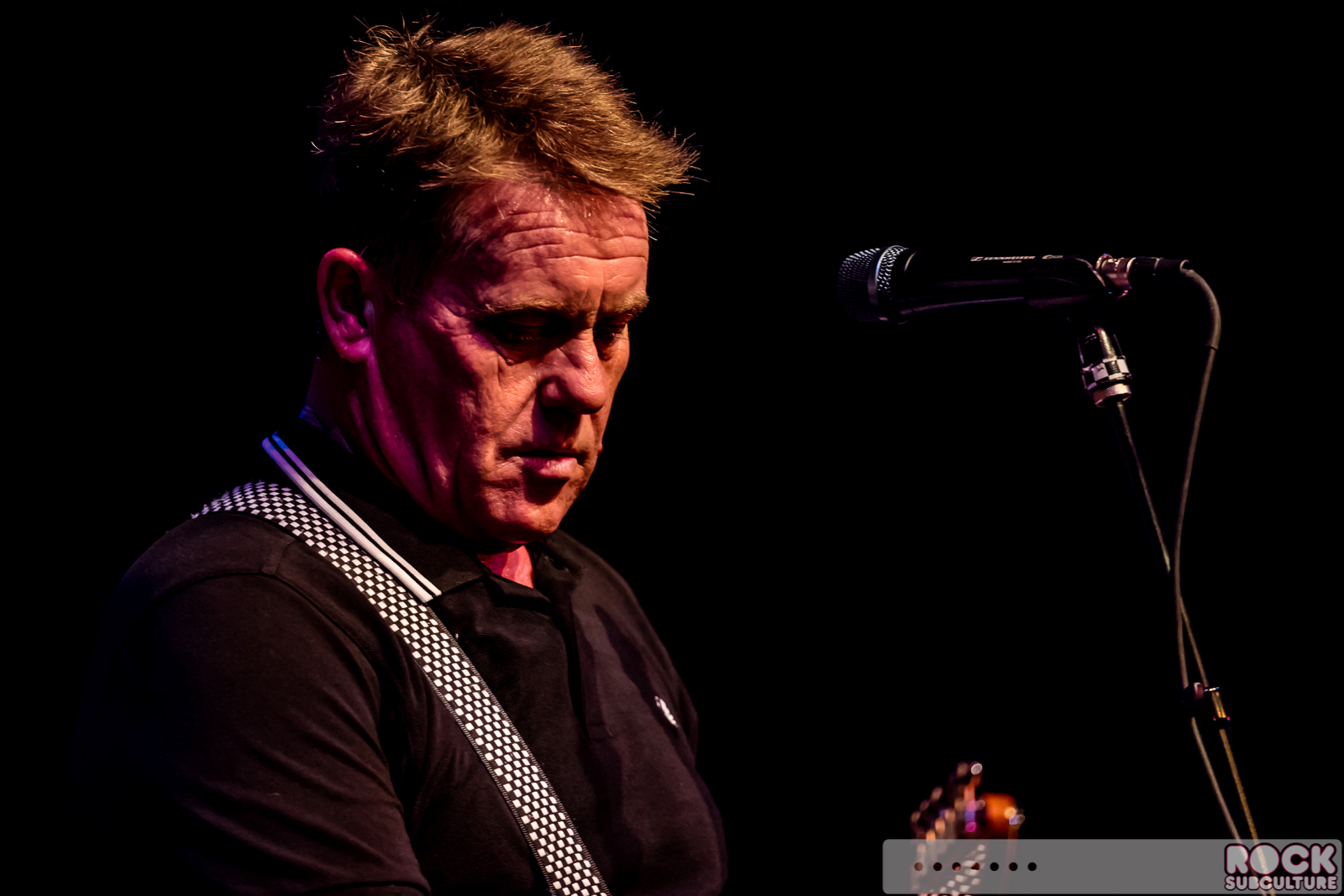 English-Beat-2015-Tour-1159