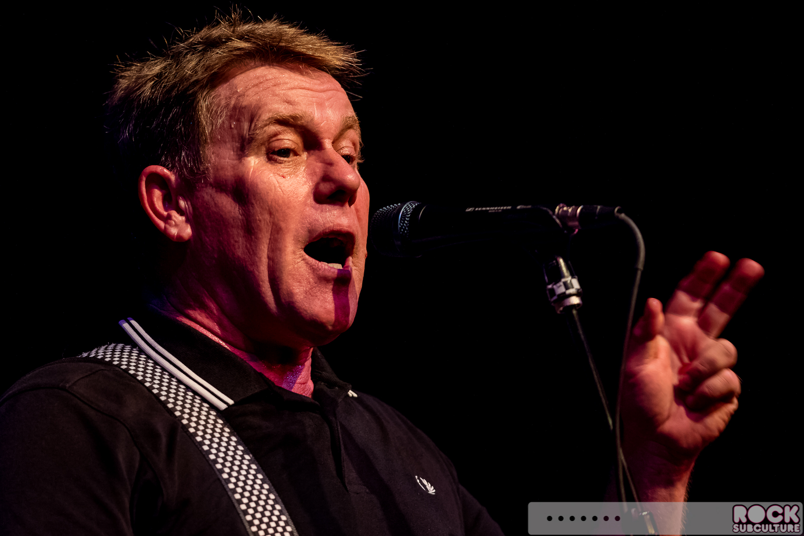 English-Beat-2015-Tour-1173